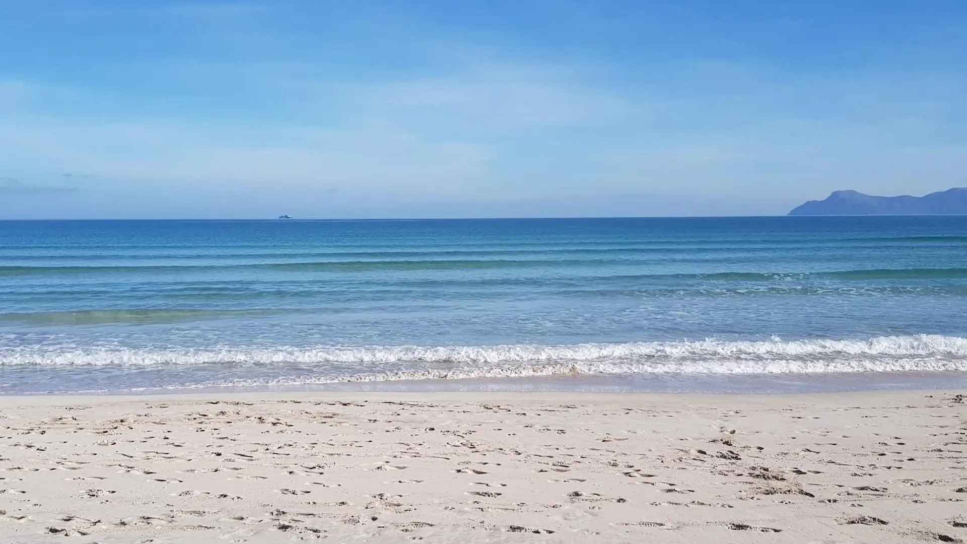 Ideal Property Mallorca - Taronger Alcudia